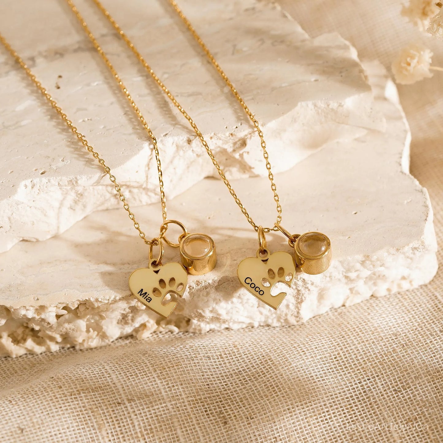 Pet Projection Necklace